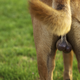 I get it, but I wish I didn’t have to / via elbud/Shutterstock